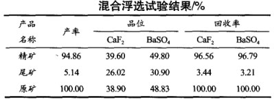 混合浮選試驗結(jié)果